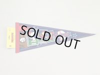 スヌーピー フェルト ペナント pennant MADE IN USA チャーリーブラウン ルーシー ベースボール