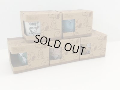 画像17: [新品雑貨]　スヌーピー カラー マグ マグカップ SNOOPY MUG