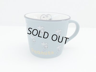画像14: [新品雑貨]　スヌーピー カラー マグ マグカップ SNOOPY MUG