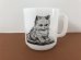 画像1: レア グラスベイク CAT キャット 猫 ネコ ねこ マグ ヴィンテージ Glasbake (1)