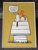 画像1: 1970's スヌーピー ウッドストック Springbok Editions ヴィンテージ ポスター ドッグハウス USA SNOOPY poster PEANUTS (1)