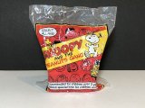 スヌーピー ドッグハウス TOY オールド ヴィンテージ vintage SNOOPY PEANUTS USA