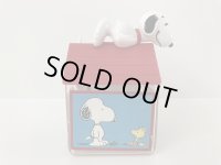 スヌーピー 50周年記念 ドッグハウス ケース SNOOPY PEANUTS USA