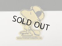ヴィンテージ ウッドストック スヌーピー ラバーマグネット MADE IN USA vintage SNOOPY