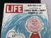 画像3: レア!! 1967年3月17日号 スヌーピー 表紙 ヴィンテージ LIFE誌 チャーリーブラウン