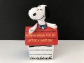 スヌーピー アプローズ applause コットンドール BOX入り 1980s 1990s USA ヴィンテージ PEANUTS
