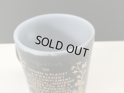 画像5: フェデラル ゾディアック 星座 マグカップ みずがめ座 水瓶座 Federal zodiac USA ヴィンテージ