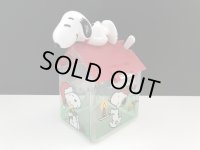 スヌーピー 50周年記念 ドッグハウス ケース クリスマス SNOOPY PEANUTS USA