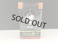 PEANUTS スヌーピー HALLOWEEN ハロウィン 箱入り フィギュア SNOOPY オールド ビンテージ