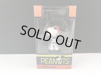 PEANUTS スヌーピー HALLOWEEN ハロウィン 箱入り フィギュア SNOOPY オールド ビンテージ