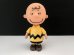 画像1: チャーリーブラウン CHARLIE BROWN USA SNOOPY スヌーピー オールド ヴィンテージ Playing Mantis PMI PEANUTS (1)