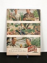 SCHLITZ BEER ビンテージ LIFE誌 1948年 ビンテージ広告 切り取り アドバタイジング ポスター