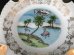 画像2: USA ヴィンテージ スーベニア アッシュトレイ フロリダ州 灰皿 Florida vintage souvenir ashtray (2)