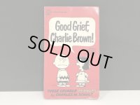 1960's ヴィンテージ PEANUTS BOOK コミック 本 1960年代 洋書 vintage スヌーピー チャーリーブラウン