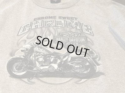画像2: USED Harley-Davidson ハーレーダビッドソン 半袖Tシャツ S/S Tee 