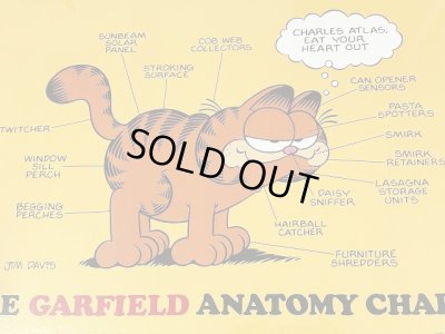 画像2: ガーフィールド Garfield ヴィンテージ ポスター poster USA