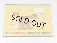 ガーフィールド Garfield ヴィンテージ ポスター poster USA