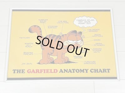 画像1: ガーフィールド Garfield ヴィンテージ ポスター poster USA