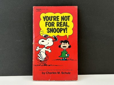 画像1: 1970's ヴィンテージ PEANUTS BOOK コミック 本 1970年代 洋書 vintage スヌーピー