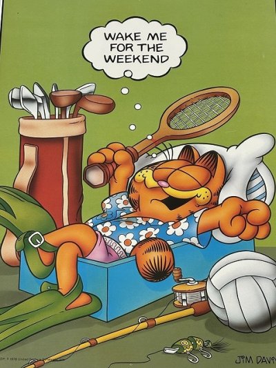 画像2: ガーフィールド Garfield ヴィンテージ ポスター poster USA