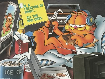画像2: ガーフィールド Garfield ヴィンテージ ポスター poster USA