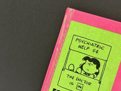 画像2: ヴィンテージ PEANUTS BOOK 本 スヌーピー 洋書 vintage USA