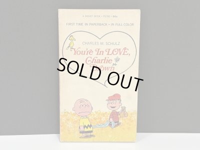 画像1: 1960's ヴィンテージ PEANUTS BOOK コミック 本 1970年代 洋書 vintage スヌーピー 