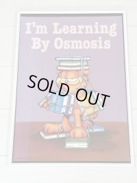 ガーフィールド Garfield ヴィンテージ ポスター poster USA