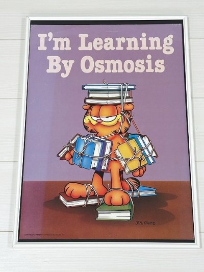 画像1: ガーフィールド Garfield ヴィンテージ ポスター poster USA