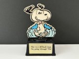 ヴィンテージ スヌーピー トロフィー 1970s 1980's AVIVA vintage USA SNOOPY