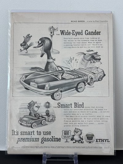 画像2: ビンテージ LIFE誌 1955年 ビンテージ広告 切り取り アドバタイジング ポスター