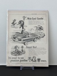 ビンテージ LIFE誌 1955年 ビンテージ広告 切り取り アドバタイジング ポスター