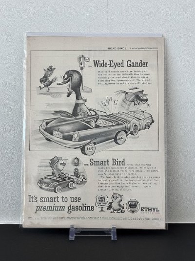 画像1: ビンテージ LIFE誌 1955年 ビンテージ広告 切り取り アドバタイジング ポスター