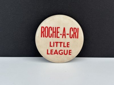 画像1: ビンテージ 缶バッジ 缶バッチ USA ユーロ EURO vintage ヴィンテージ