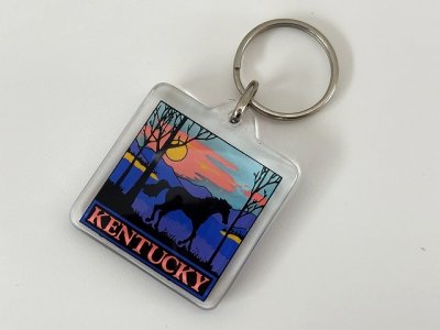 画像3: ヴィンテージ souvenir KENTUCKY ケンタッキー スーベニア キーホルダー USA 
