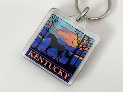 画像2: ヴィンテージ souvenir KENTUCKY ケンタッキー スーベニア キーホルダー USA 