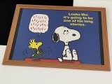 1988年 スヌーピー ウッドストック フレームポスター USA SNOOPY ピーナッツ PEANUTS
