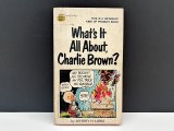 1960's 1970's ヴィンテージ PEANUTS BOOK コミック 本 1970年代 洋書 vintage スヌーピー