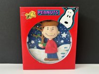 箱付き ヴィンテージ チャーリーブラウン 壁掛け飾り オーナメント SNOOPY PEANUTS USA スヌーピー