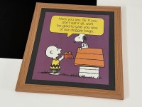 1983年 スヌーピー チャーリーブラウン フレーム ポスター USA SNOOPY ピーナッツ PEANUTS ヴィンテージ
