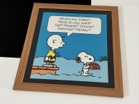 1983年 スヌーピー チャーリーブラウン フレーム ポスター USA SNOOPY ピーナッツ PEANUTS ヴィンテージ
