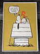 画像1: 1970's スヌーピー ウッドストック Springbok Editions ヴィンテージ ポスター ドッグハウス USA SNOOPY poster PEANUTS (1)