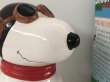 画像11: 箱入り デッドストック ヴィンテージ スヌーピー フライングエース レッドバロン クッキージャー BENJAMIN & MEDWIN usa vintage SNOOPY (11)