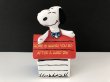 画像1: スヌーピー アプローズ applause コットンドール BOX入り 1980s 1990s USA ヴィンテージ PEANUTS (1)