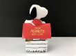 画像3: スヌーピー アプローズ applause コットンドール BOX入り 1980s 1990s USA ヴィンテージ PEANUTS (3)