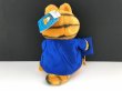 画像6: USA ヴィンテージ ガーフィールド 卒業 graduation タグ付き ぬいぐるみ Garfield 1980s (6)