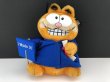 画像1: USA ヴィンテージ ガーフィールド 卒業 graduation タグ付き ぬいぐるみ Garfield 1980s (1)