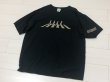 画像3: USED S/S Tee Tシャツ THE BEATLES ビートルズ ABBEY ROAD アビイロード (3)