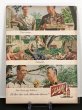 画像2: SCHLITZ BEER ビンテージ LIFE誌 1948年 ビンテージ広告 切り取り アドバタイジング ポスター (2)