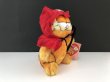 画像5: USA ヴィンテージ ガーフィールド デビル DEVIL ぬいぐるみ Garfield 1980s (5)